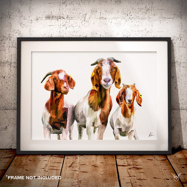 Boer Goats trio