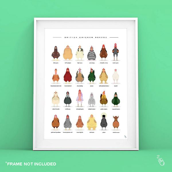 Chicken Breeds