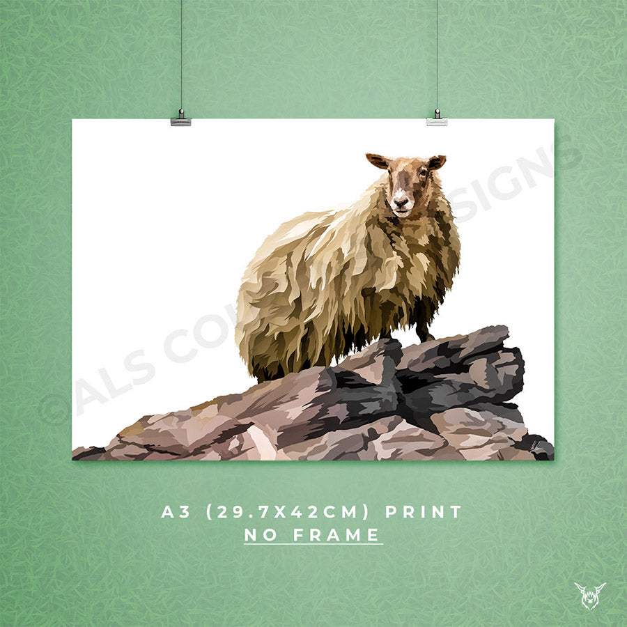 Fiona the Sheep
