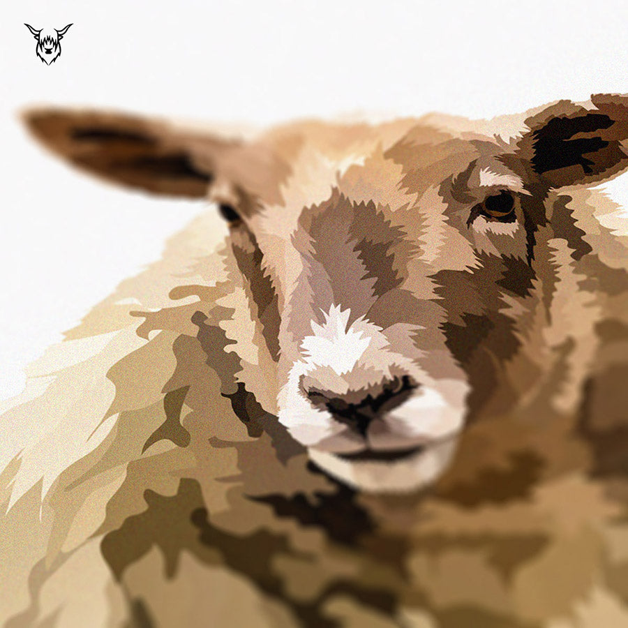 Fiona the Sheep
