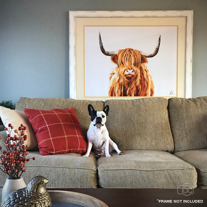 Highland Cow Print