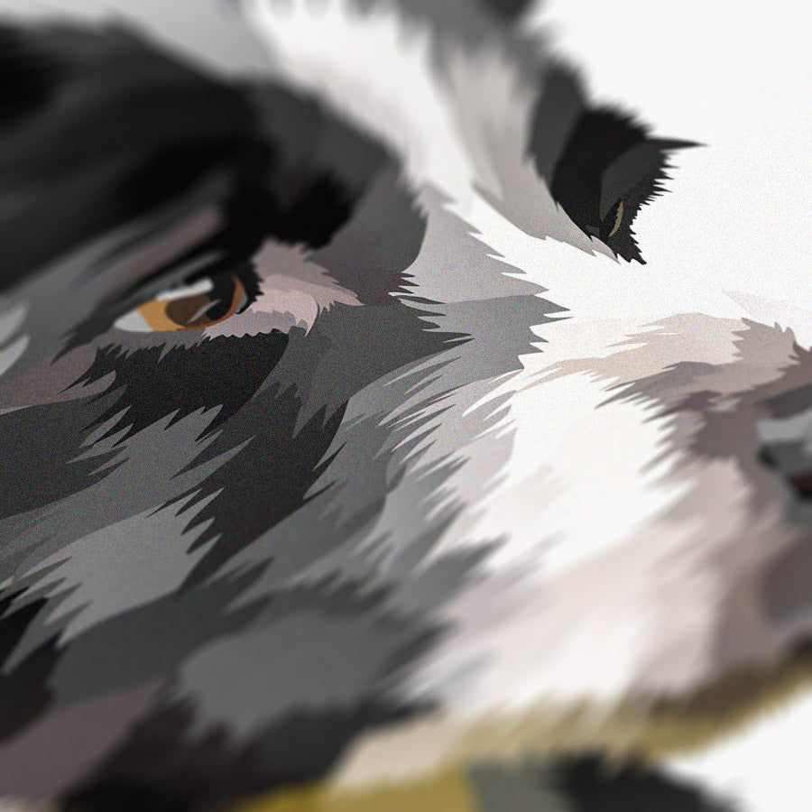 Meg - Sheepdog - Border Collie