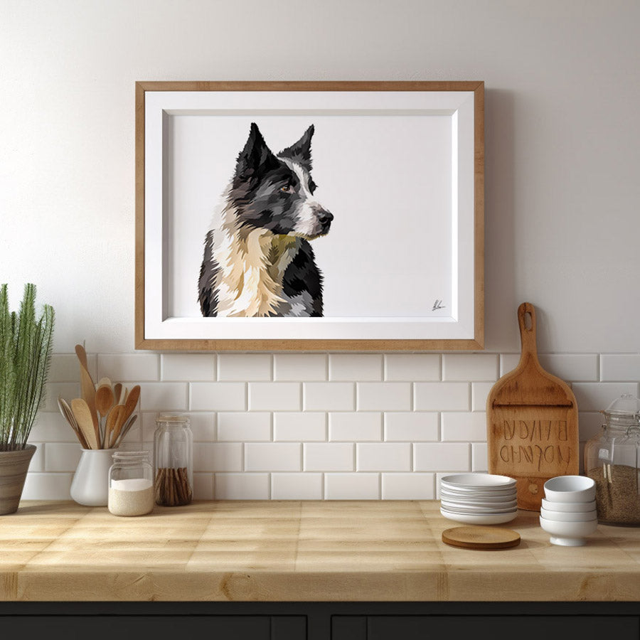 Meg - Sheepdog - Border Collie