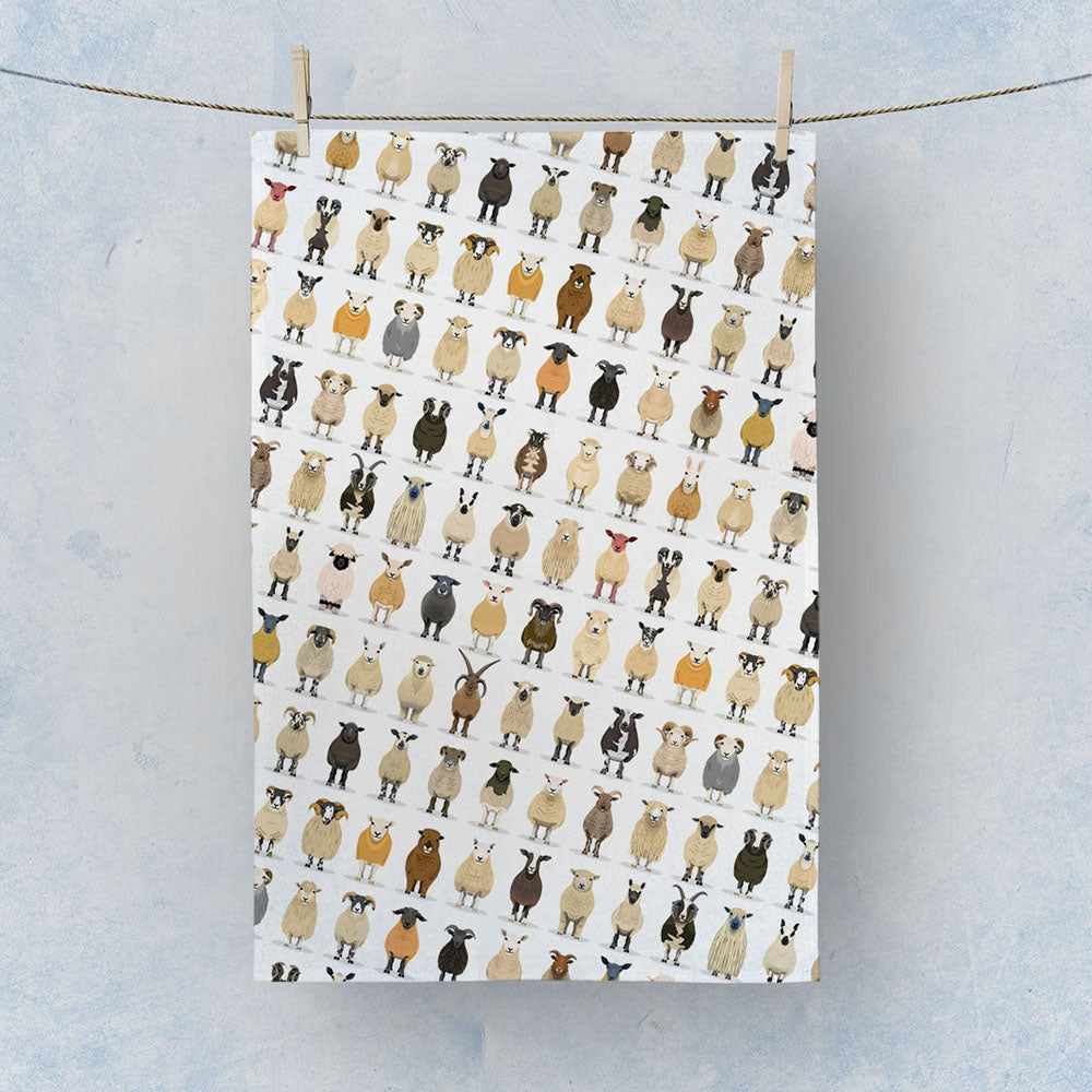 Sheep Breeds Tea Towel