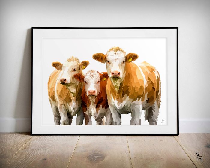Simmental cattle