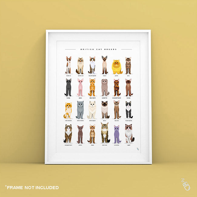 Cat Breeds Print