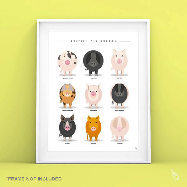 Pig Breeds Print