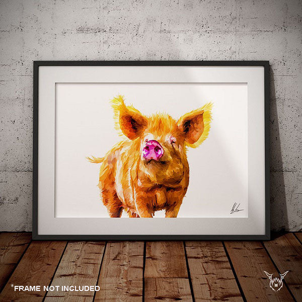 Tamworth Pig