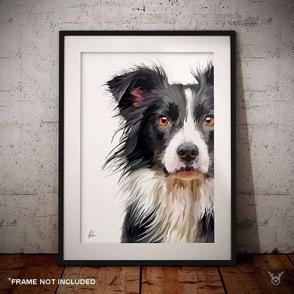 Border Collie