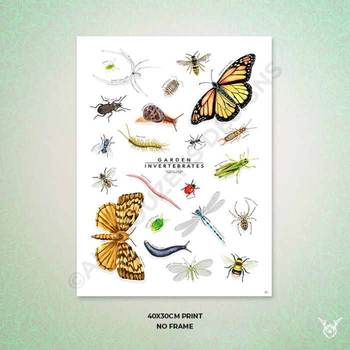 British Garden Insects