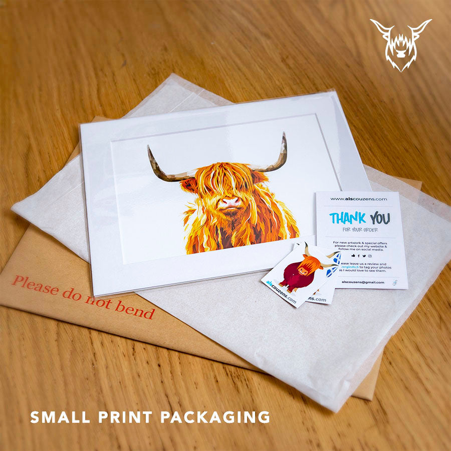 Highland cow artist Edinburgh