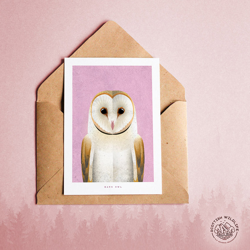 barn owl card