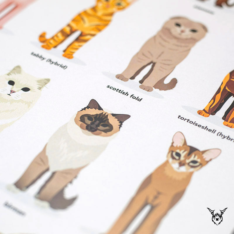 cat art