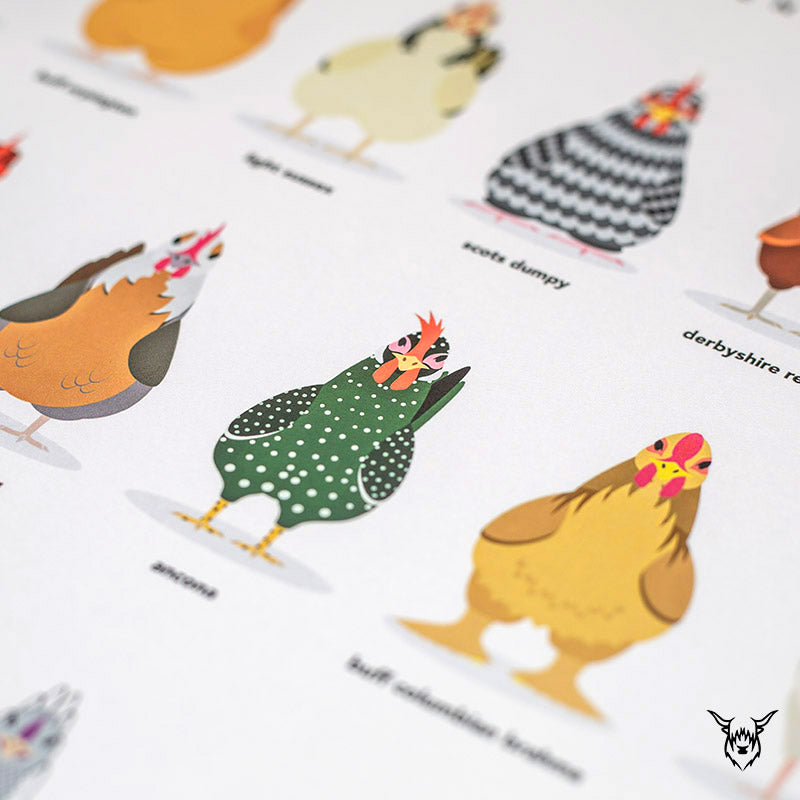 chicken poster