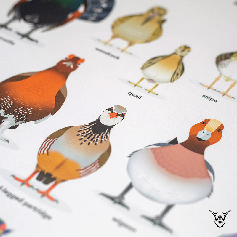 gamebirds poster