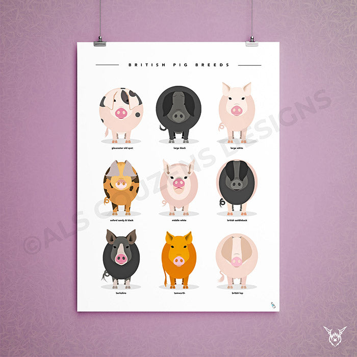 Pig Breeds Print