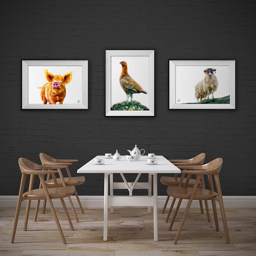 Scottish animal Paintings prints