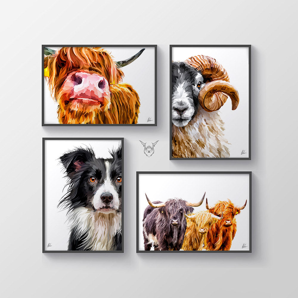 Highland Cow Trio