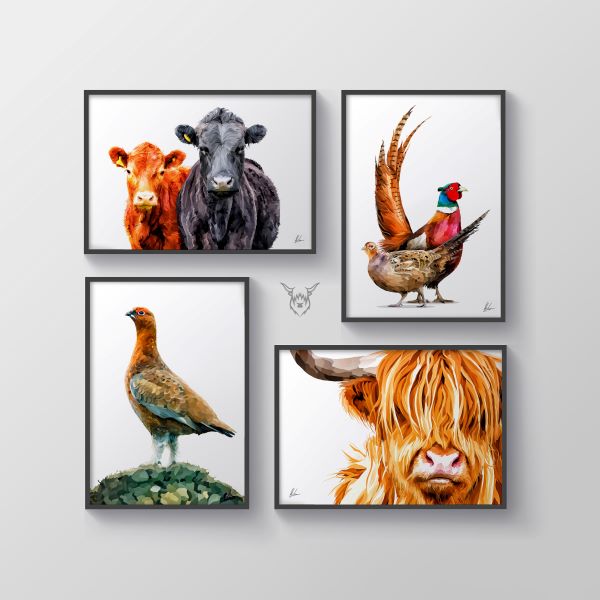 dexter cattle animal art print