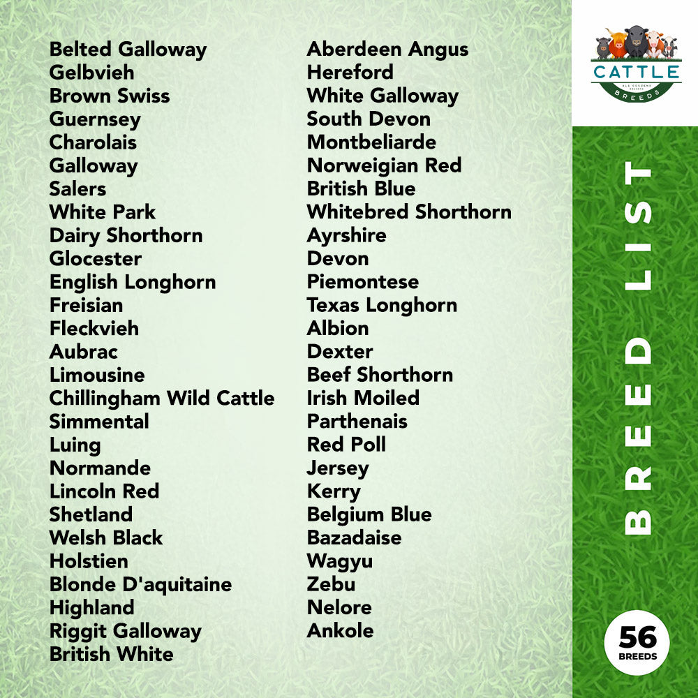 The Ultimate Cattle Breeds Poster