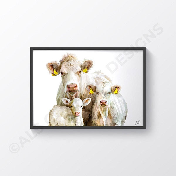 Charolais Cattle & Calf