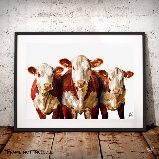 Hereford Cattle