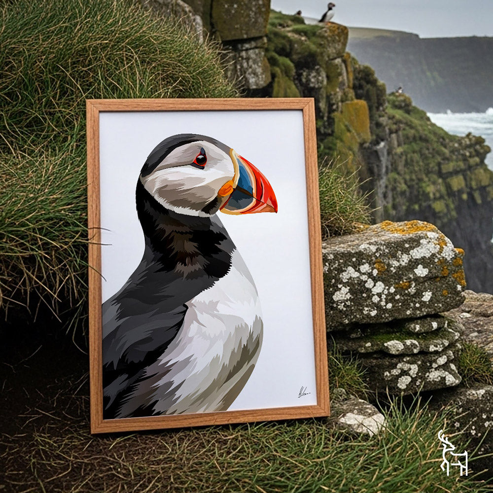 Puffin