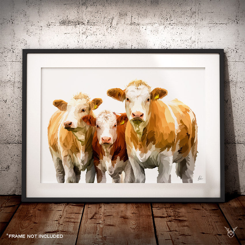 Simmental cattle