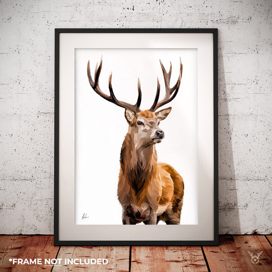 Scottish Red Deer