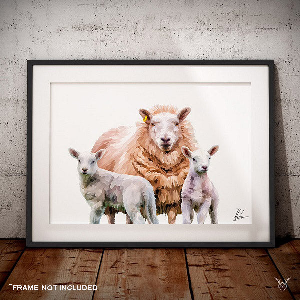 Texel Cheviot Ewe & Lambs