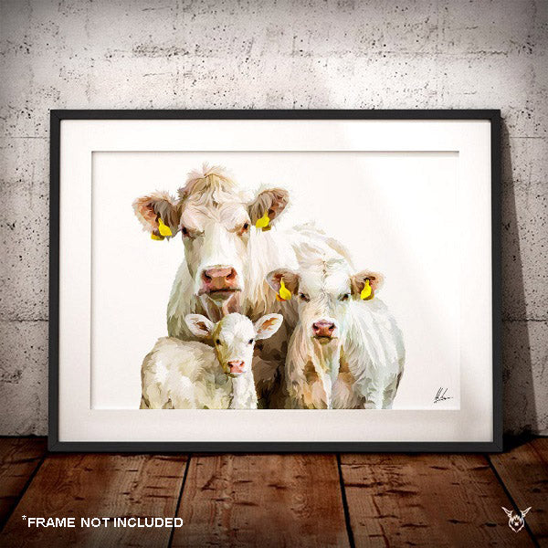 Charolais Cattle & Calf