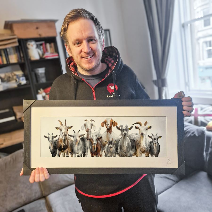 The Dalscone Goats with Frame