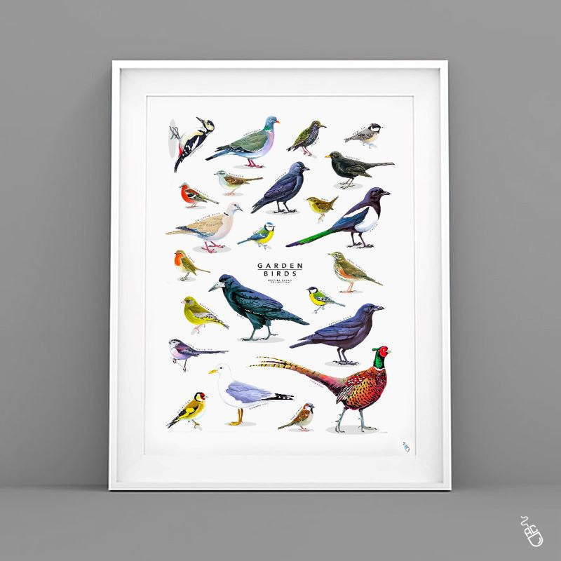 British birds print