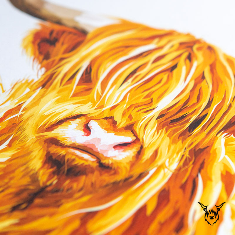 Highland cow colourful art print