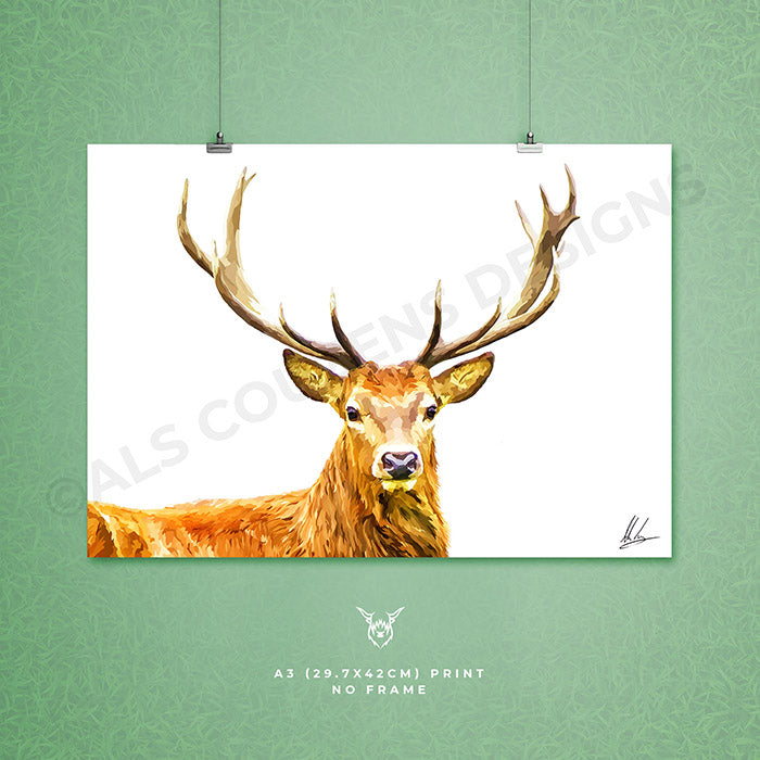 Scottish Red Deer