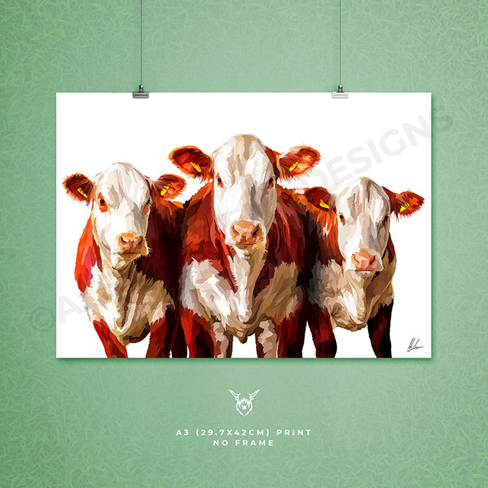 Hereford cattle