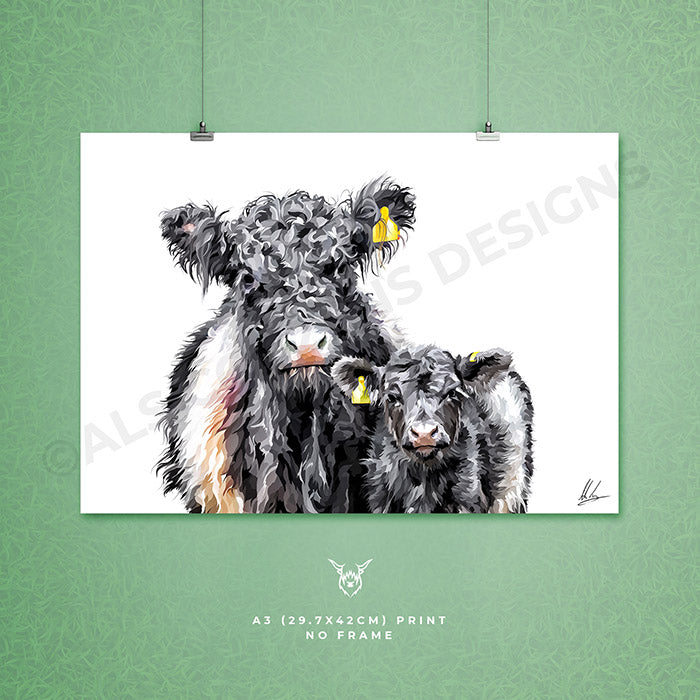 Belted Galloway Cow & Calf
