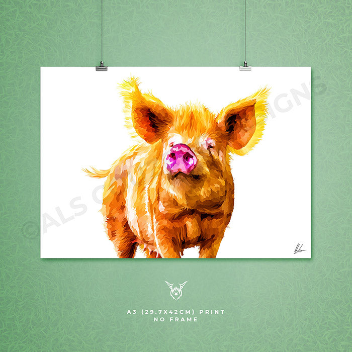 Tamworth Pig