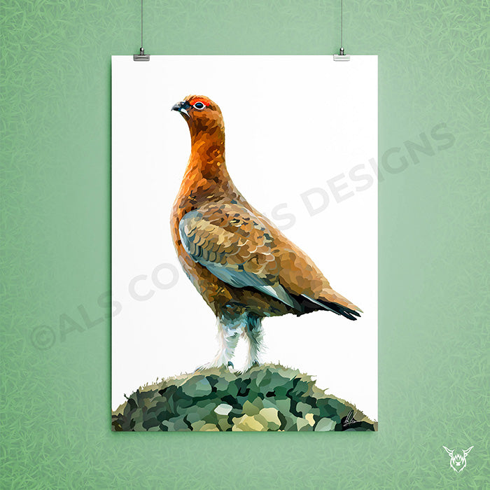 red grouse