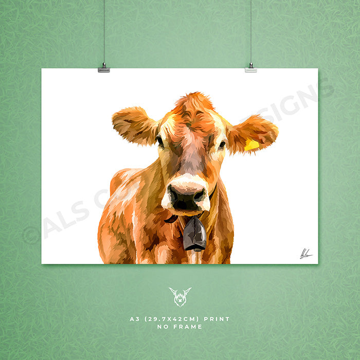 jersey cow