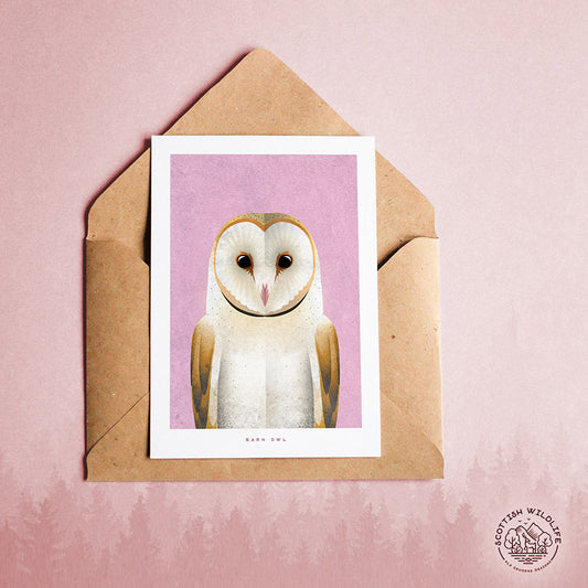 barn owl card