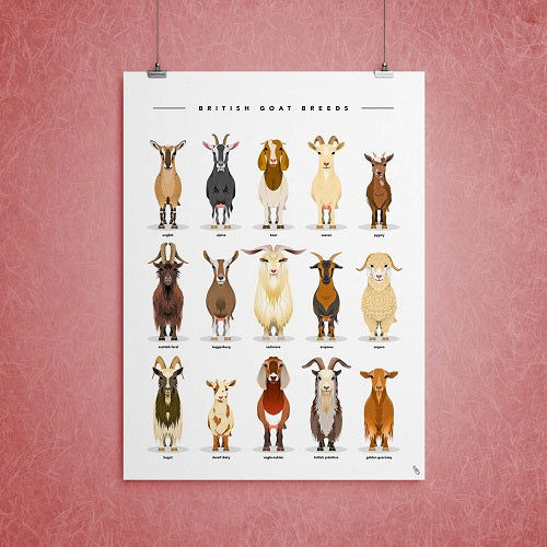 goats art print gift