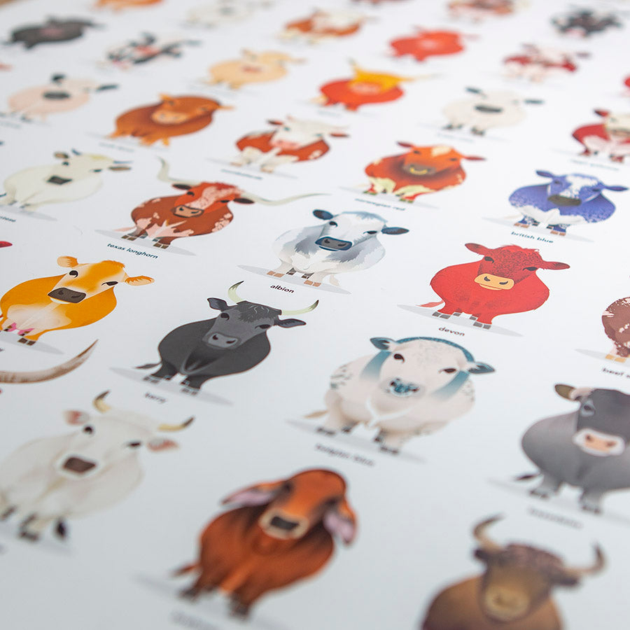 cattle breeds print