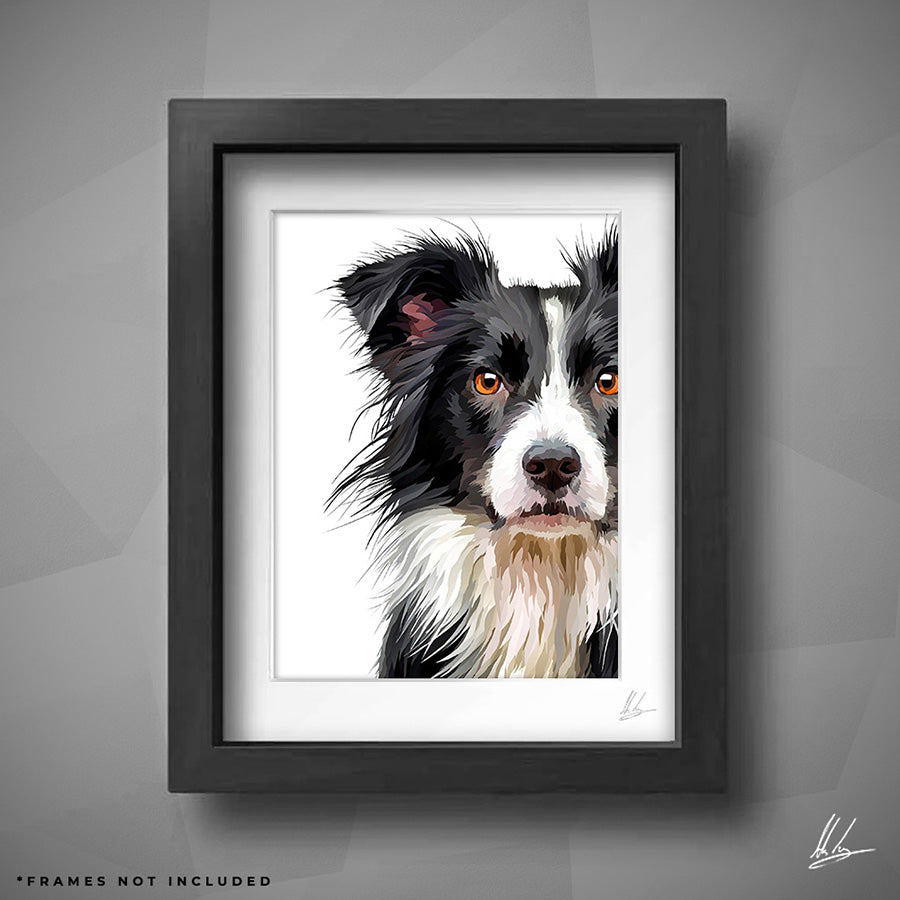 border collie painting