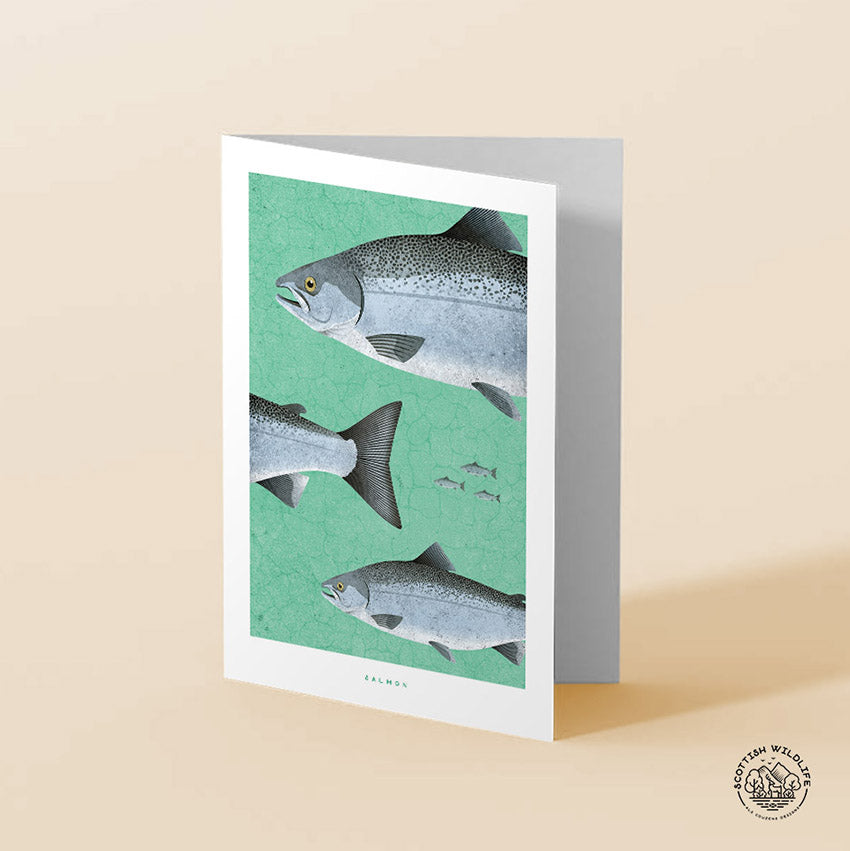 Fishing birthday card