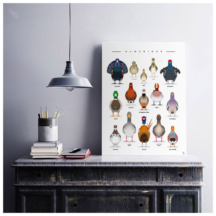 Gamebirds art print