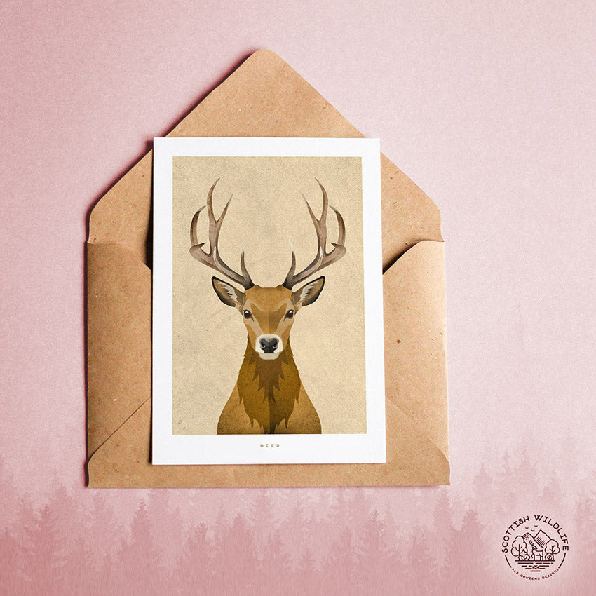 red deer greeting card
