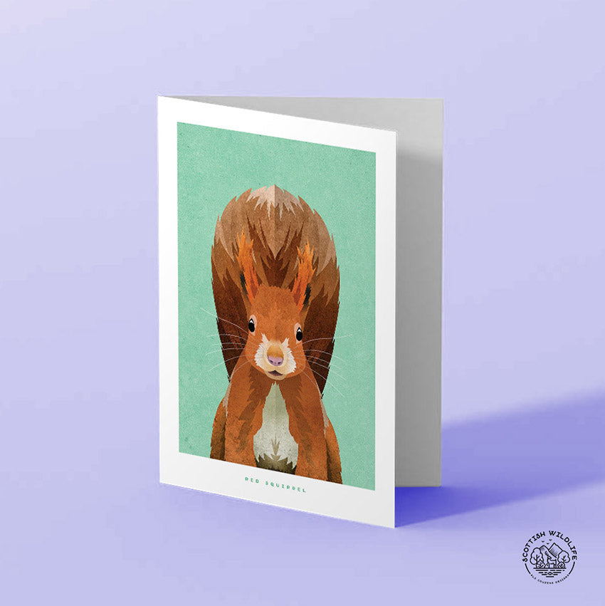 Red squirrel card