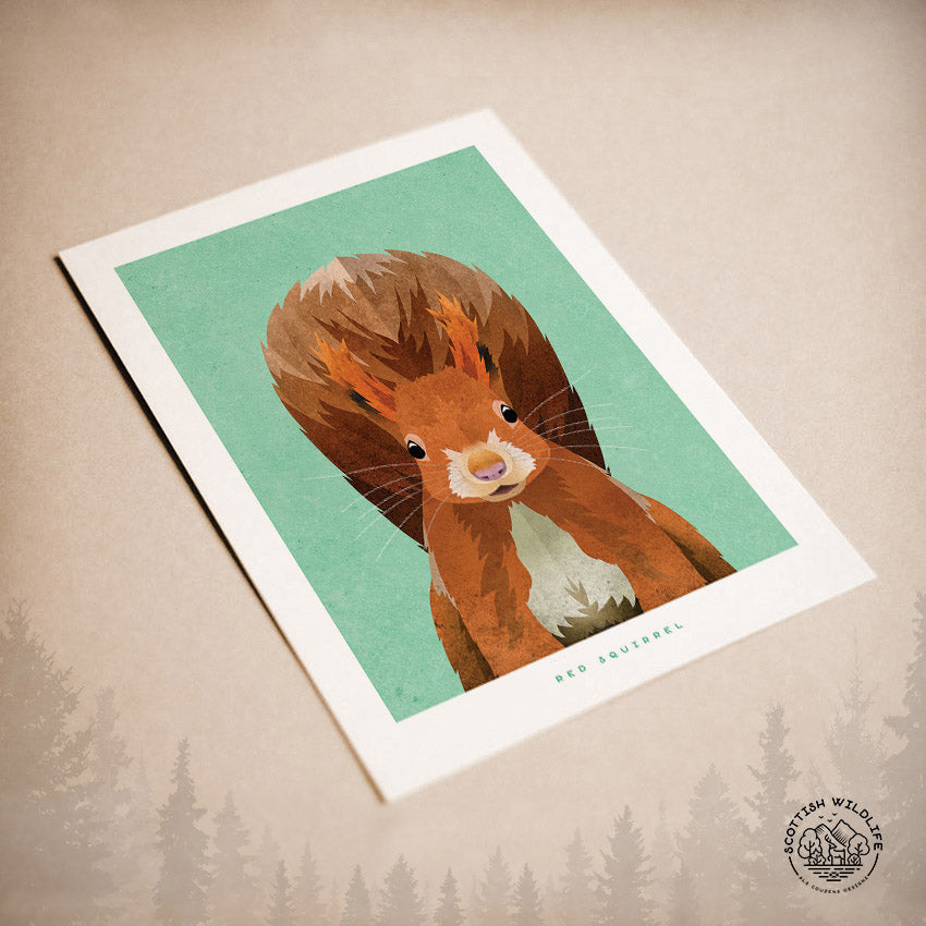 red squirrel birthday card