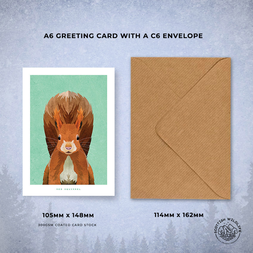 red squirrel card